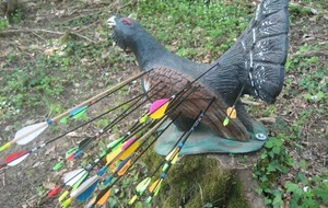 Tir 3D  Le Brame du Cerf