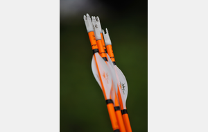 Première séance d'initiation