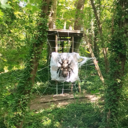 Tir 3d de Vaujours